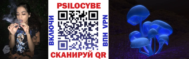Псилоцибиновые грибы ЛСД  блэк спрут сайт  Челябинск 